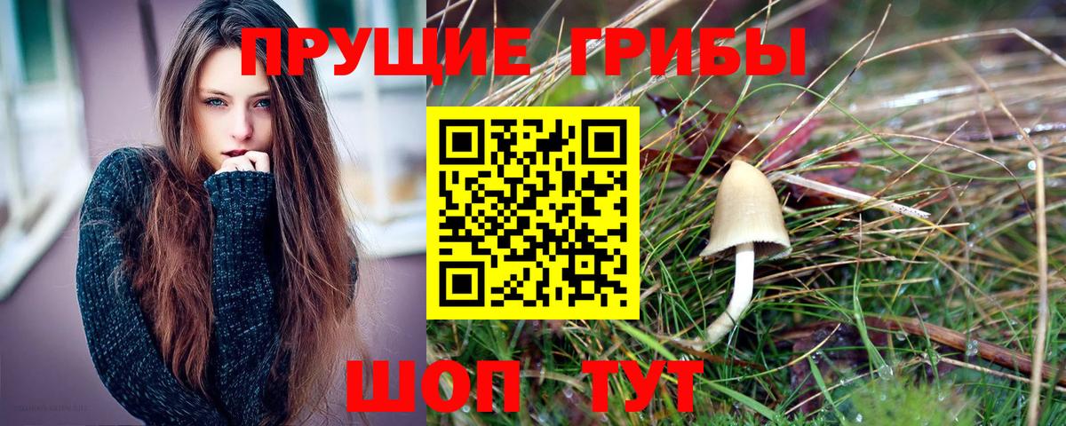 Псилоцибиновые грибы мицелий Воткинск